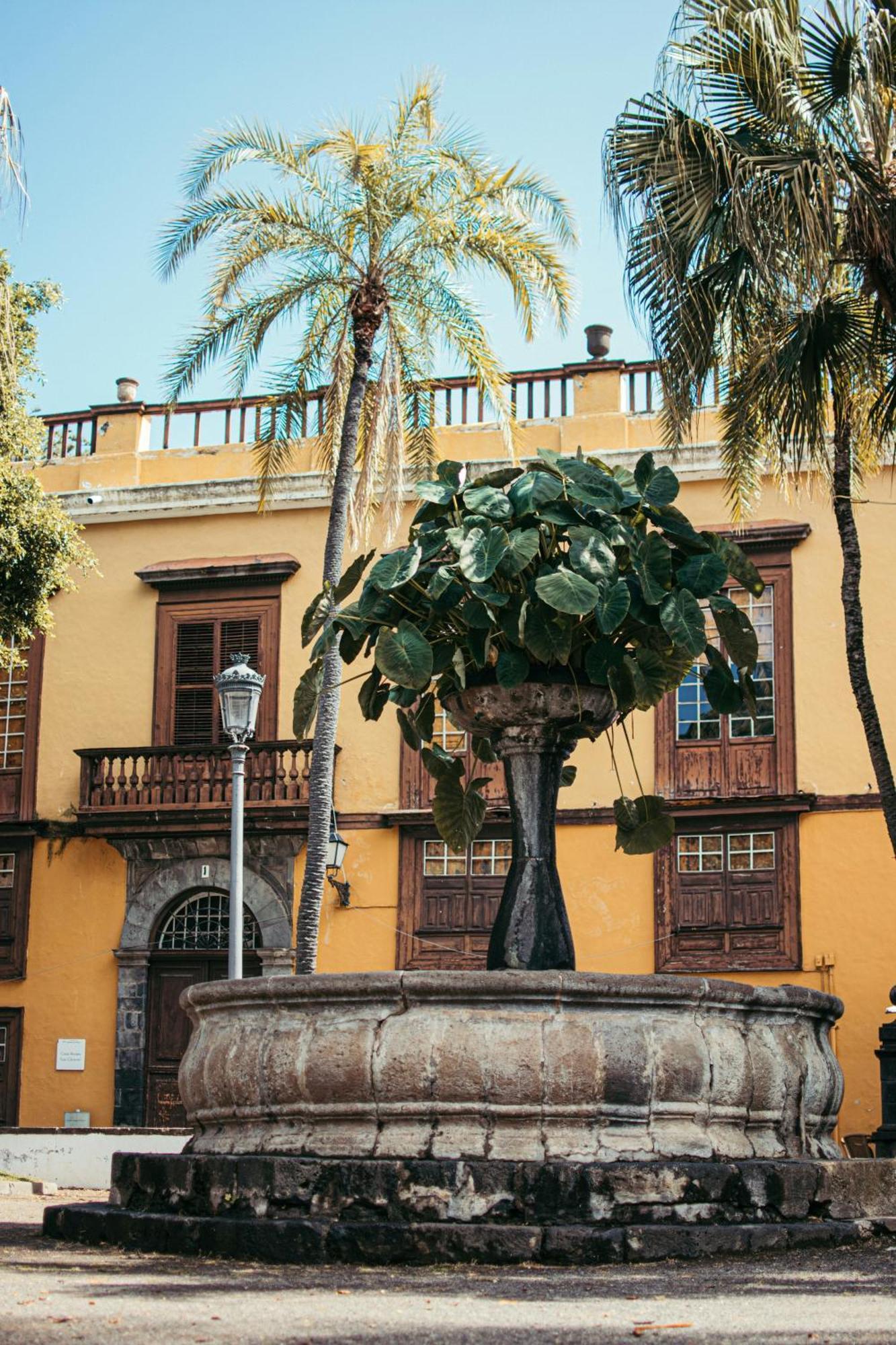 85, Boutique Privada Con Piscina Dom wakacyjny Icod De Los Vinos